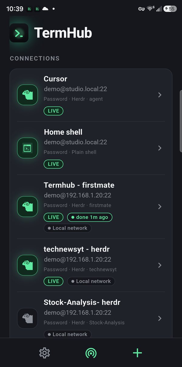 The TermHub home screen: a list of connections, each with its sign-in method, startup mode, and LIVE or finished tags.