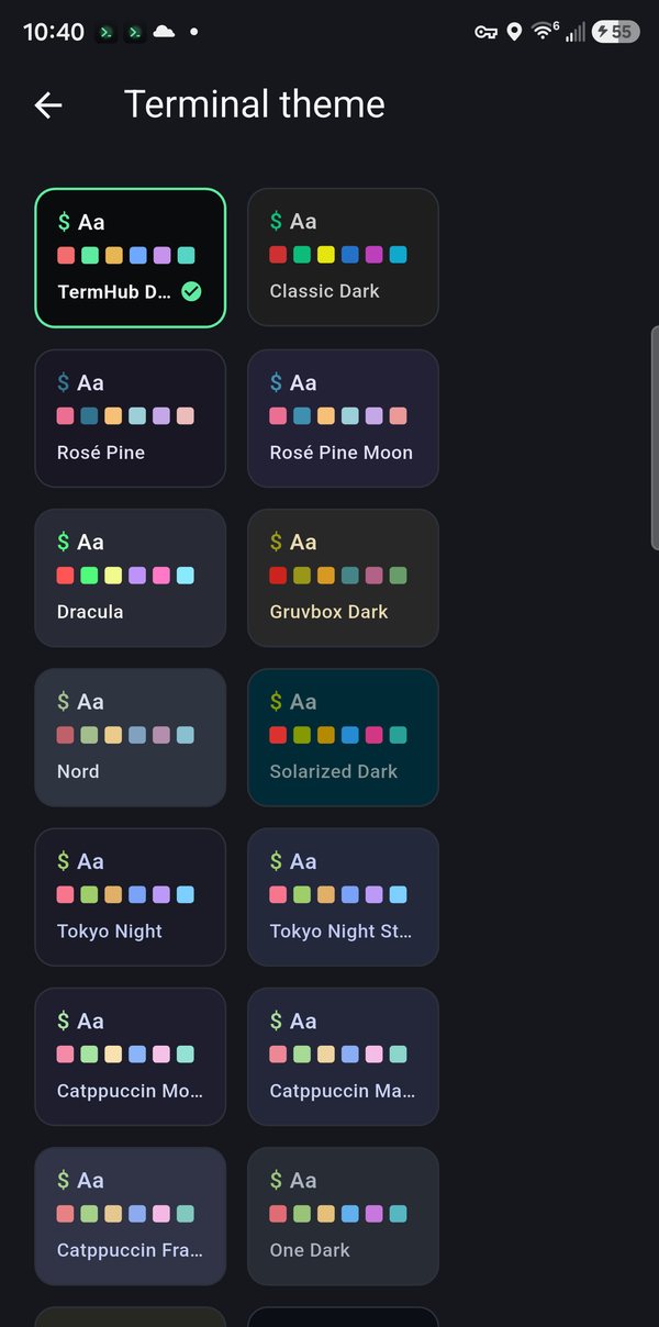 Terminal theme picker with TermHub Dark, Dracula, Nord, Tokyo Night, Catppuccin, and more.